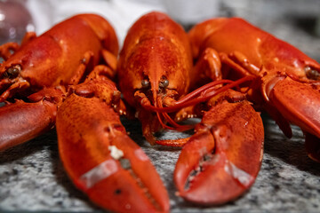 Fully Cooked Lobster