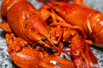 Fully Cooked Lobster