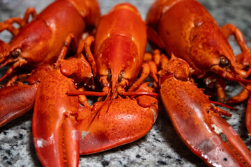 Fully Cooked Lobster