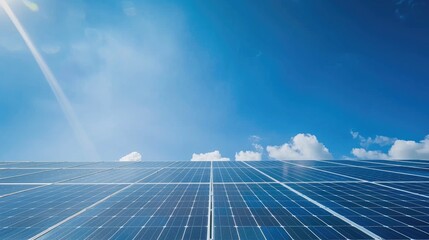 Solar panels beneath a clear summer sky