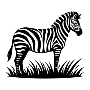 Zabra design silhouette vector art work illustration Ai 
, JPEG & EPS File