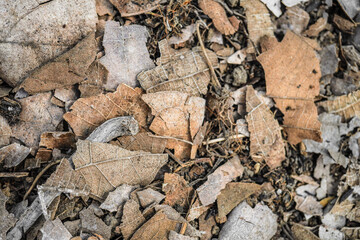 Stacks of dry leaves in a mesh container that will be used as compost material. Go Green and Organic Farming concept.