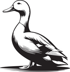 Duck silhouette vector Illustration