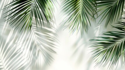 Palm Leaves Shadow Overlay on Light Background, Generative AI