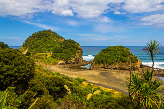 O'Neill Beach Scenery, Bethells Beach, Auckland New Zealand