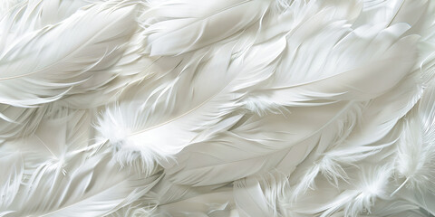 plume pattern, stock photos, abstract, feather, design, background, texture, art, pattern, decoration, elegant, decorative, ornate, artistic, stylish, graceful, delicate, ornamental, decorative patter