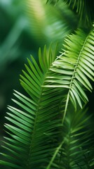 a close up of green leaves on a tropical plant
