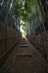 Samurai's Old Path "Hiyodori Zaka"