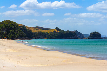 Fototapeta premium White Sandy Beach, Landscape Scenery Whiritoa Beach at Coromandel Peninsula in the North Island of New Zealand