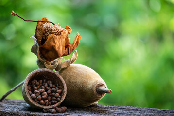 Dried baobab flower ,seeds and fruit on natural background.