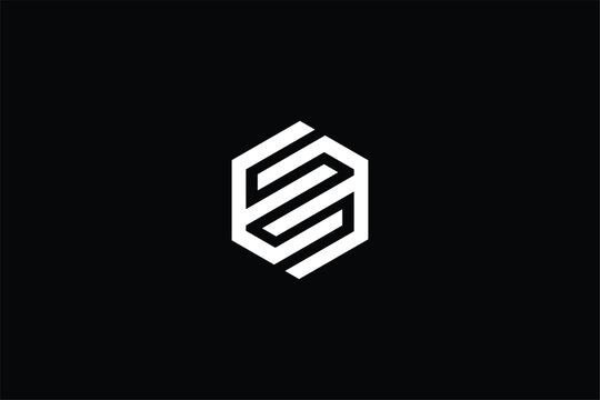 letter EE logo design, ee iconic vector logomark, chain link logo, letter ee hexagon logo, ee interwind iconic logo, e flying hawk iconic logo, ee modern finance logo