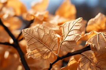 a close up of some leaves on a tree
