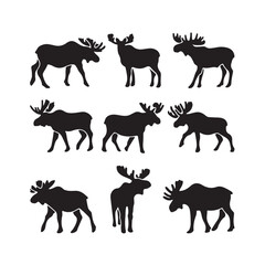 horse silhouettes vector