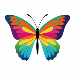 Colorful butterfly vector illustration and svg