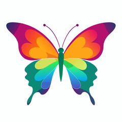 Colorful butterfly vector illustration and svg