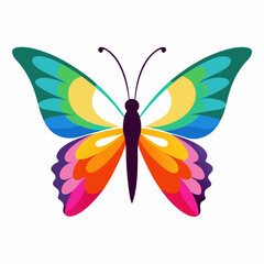 Colorful butterfly vector illustration and svg