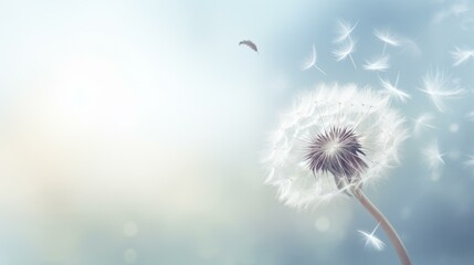 Send heartfelt condolences with a beautiful dandelion sympathy card for those grieving a loss.