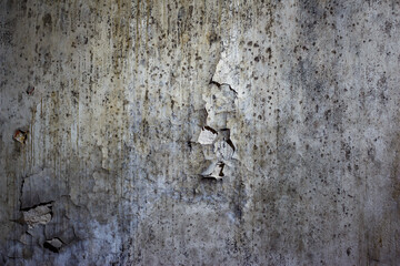 Wall of an old abandoned house with peeling plaster and covered with mold stains