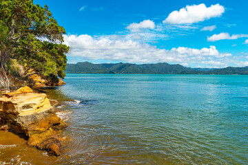 Landscape Scenery of Brooks Beach during Low Tide; Awhitu Regional Park, Auckland New Zealand