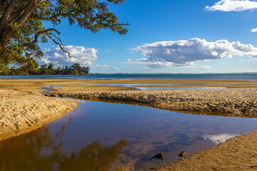 Morning Scenery of Awhitu Regional Park Beach during Low Tide  Kauritutahi Beach  Auckland New Zealand © Rangkong