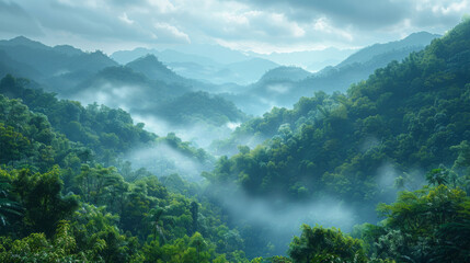Nature view of Khao Yai National Park