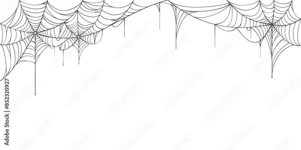 Canvas Prints background with cobweb, spider web line art vector eps