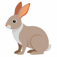 Vector illustration of a rabbit