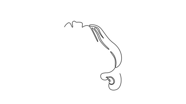 Animated self drawing of continuous line draw whole healthy sweet organic cashew apple for orchard logo identity. Fresh Brazilian caju concept for fruit garden icon. Full length single line animation