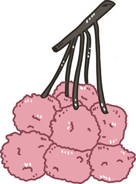 Cartoon tropical fruit name's Lychee