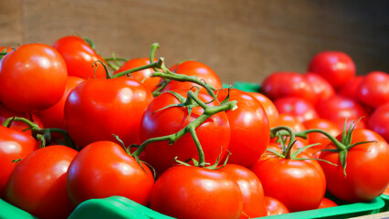 Close-up of many bright fresh tomatoes on a branch in a grocery store