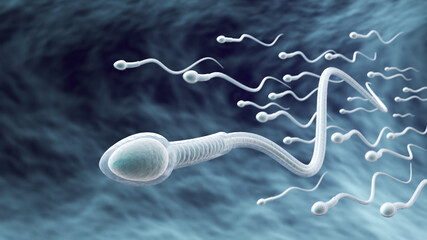 Sperm directed towards the egg bubble, Natural fertilization.3d illustration
