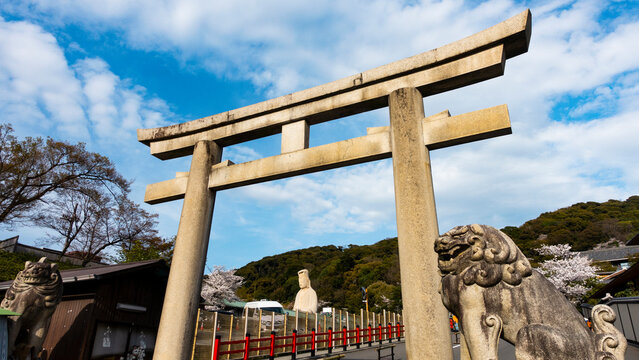 "Set Billeder – Gennemse 385,411,425 stockfotos, vektorer og videoer ...