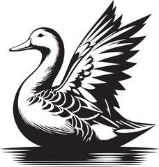 Duck vector Illustration image