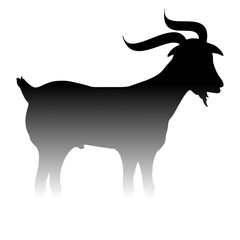 Islamic Festival of Eid al-Adha: Cultural and Religious Observance