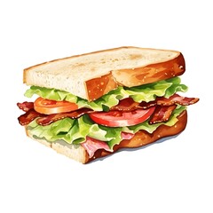 Watercolor of Appetizing BLT Sandwich on White Background