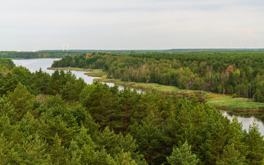 Obraz premium aerial drone of Lake Senftenberg, green forests. Senftenberg Lake Brandenburg Germany . Beauty of nature