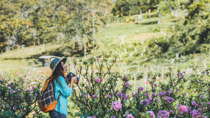 Asian woman travel nature. Travel relax. Standing photographing beautiful pink apricot flowers at apricot garden.