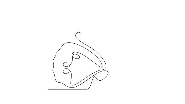 Animated self drawing of 
Butterflies are flying and will land on flowers video design illustration. Animal themes design concept in simple linear style. Beautiful animal with variance body colors.