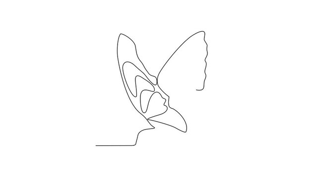 Animated self drawing of 
Butterflies are flying and will land on flowers video design illustration. Animal themes design concept in simple linear style. Beautiful animal with variance body colors.