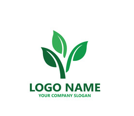  leaf logo design ready vector template