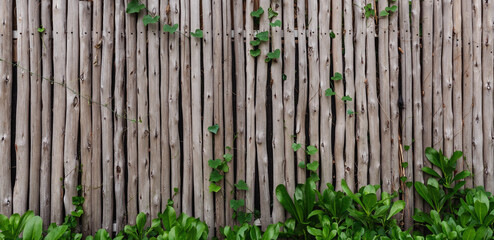 log wood fence wall with green leaves, texture backgrounds