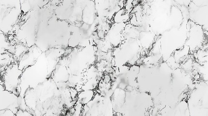 Fototapeta premium The white stylish interior with copy space, tropical leafs, white elephant figure and marble blocks.