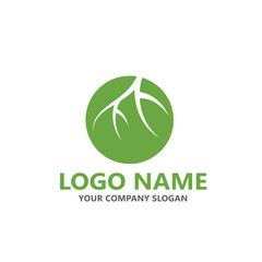 tree root vector logo