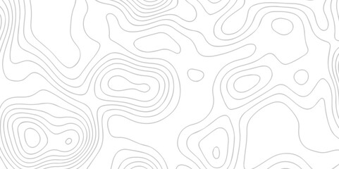 White wave paper curved reliefs abstract background. The topographic map contour in lines isolated. Abstract white topographic map background with lines. Background of the topography map.