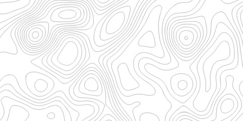 White wave paper curved reliefs abstract background. The topographic map contour in lines isolated. Abstract white topographic map background with lines. Background of the topography map.