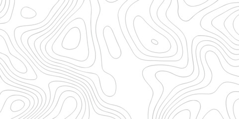 Fototapeta premium White wave paper curved reliefs abstract background. The topographic map contour in lines isolated. Abstract white topographic map background with lines. Background of the topography map.