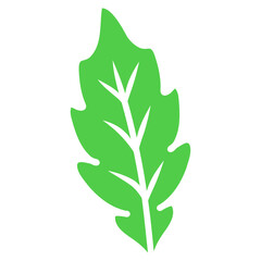 leaf nature illustration