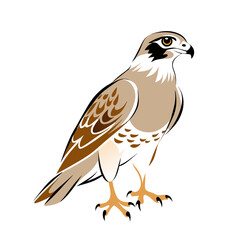 Fototapeta premium detailed illustration of an eagle 
