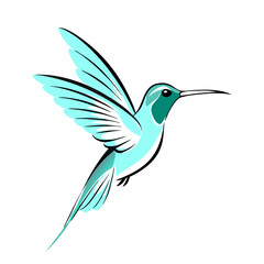 Obraz premium delicate hummingbird in flight.