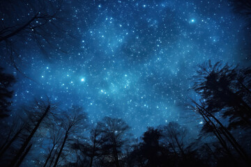 mesmerizing view of the night sky